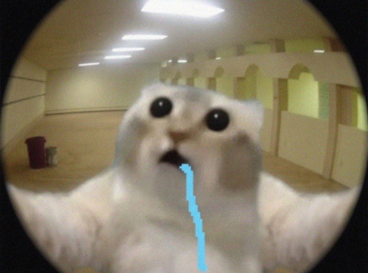 The iconic drooling cat, mouth open, brain empty