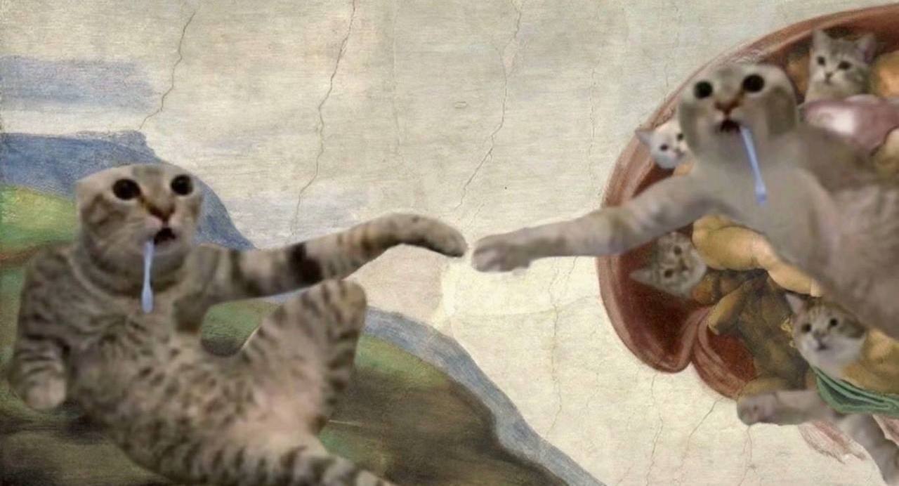 Creation of the drooling cat